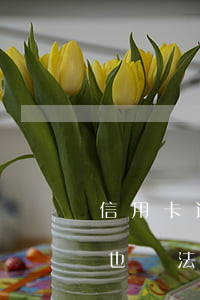 信用卡逾期沒有最低還款了(逾期最低還款后也無法使用嗎)