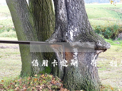 信用卡逾期沒有漲利息