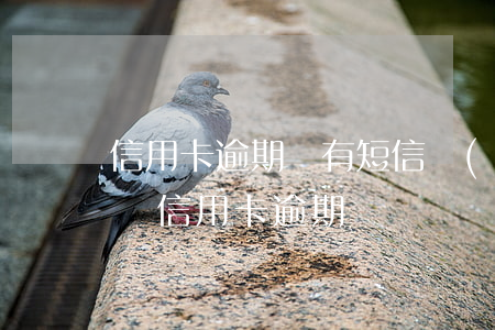 信用卡逾期沒有短信(發(fā)了一條短信說信用卡逾期)