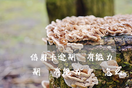 信用卡逾期沒有能力償還怎么辦-信用卡逾期沒有能力償還怎么辦理