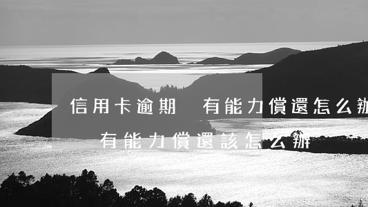 信用卡逾期沒有能力償還怎么辦(信用卡如果沒有能力償還該怎么辦)