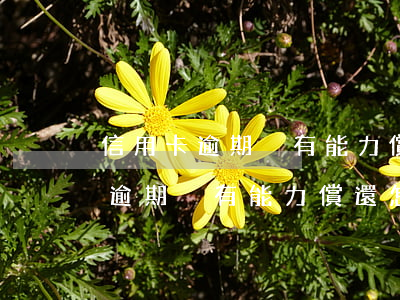 信用卡逾期沒有能力償還怎么辦啊-信用卡逾期沒有能力償還怎么辦啊怎么處理