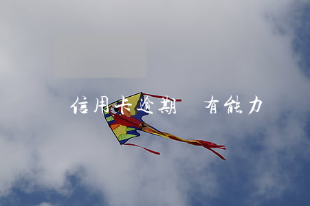 信用卡逾期沒有能力償還法律后果