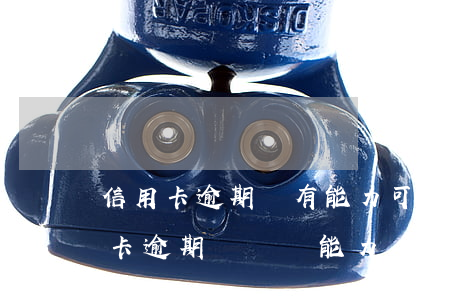 信用卡逾期沒有能力可以先不管嗎-欠信用卡逾期確實沒能力還怎么辦