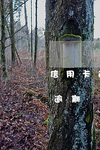 信用卡逾期沒有被起訴會上征信嗎-信用卡逾期沒有被起訴會上征信嗎知乎