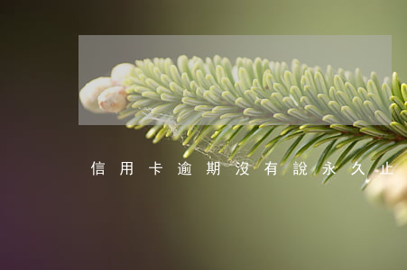 信用卡逾期沒有說永久止付(逾期不還信用卡)