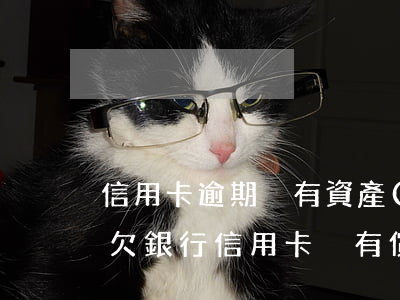 信用卡逾期沒有資產(chǎn)沒有能力(欠銀行信用卡沒有償還能力了怎么辦)