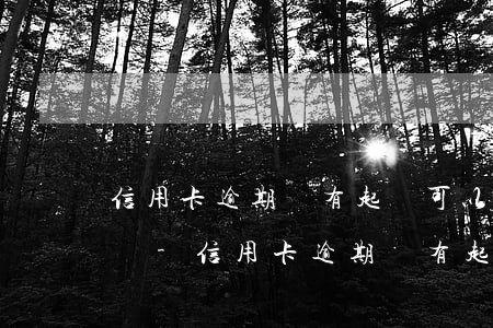信用卡逾期沒有起訴可以先凍結(jié)嗎-信用卡逾期沒有起訴可以先凍結(jié)嗎