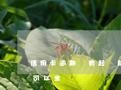信用卡逾期沒有起訴能坐飛機不(欠信用卡不可以坐飛機嗎)