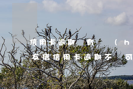 信用卡逾期沒有還會(huì)被起訴嗎(朋友借信用卡逾期不還可以起訴嗎)