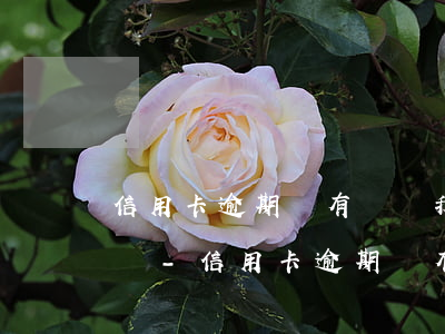 信用卡逾期沒有錢還我想找網(wǎng)貸-信用卡逾期沒有錢還我想找網(wǎng)貸怎么辦