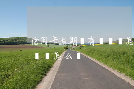 信用卡逾期沒有錢還該怎辦(欠信用卡暫時沒錢還怎么辦)