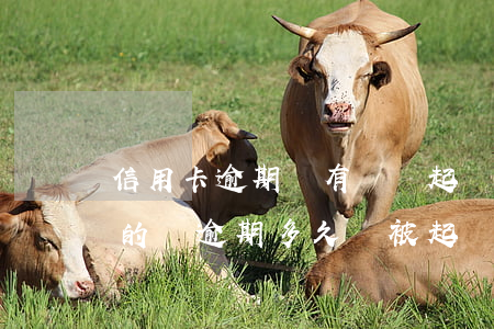 信用卡逾期沒有錢還起訴會怎么判(欠信用卡的錢逾期多久會被起訴)