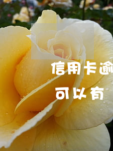 信用卡逾期沒有降額-為什么信用卡逾期還可以有減免
