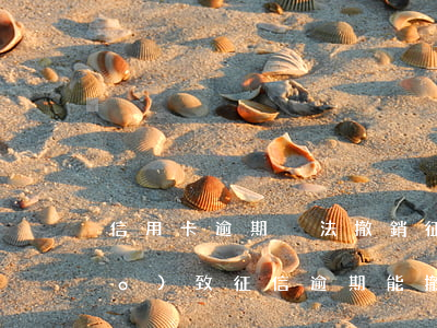信用卡逾期沒法撤銷征信(銀行問題導(dǎo)致征信逾期能撤銷嗎)