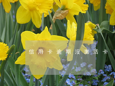 信用卡逾期沒激活卡