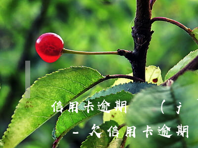 信用卡逾期沒經(jīng)過法院就抓人嗎-欠信用卡逾期會被公安局抓嗎