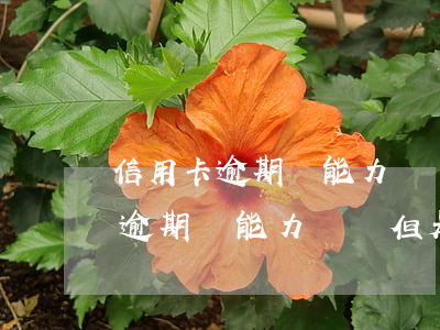 信用卡逾期沒能力償還但是接電話-信用卡逾期沒能力償還但是接電話了