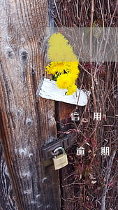 信用卡逾期沒能力全部還上(好多張信用卡都逾期了沒有能力還怎么辦)