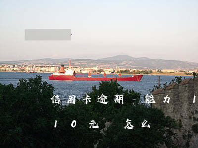信用卡逾期沒能力還10元(欠信用卡每月還10元會怎么樣)