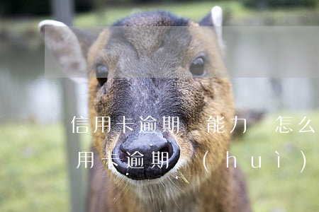 信用卡逾期沒能力還怎么辦告訴家里人嗎(信用卡逾期會(huì)不會(huì)通知家里人)
