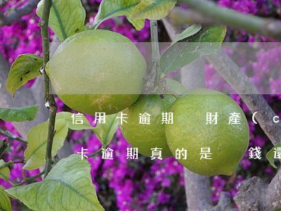 信用卡逾期沒財產(chǎn)沒有家(信用卡逾期真的是沒錢還家里也沒錢怎么辦)
