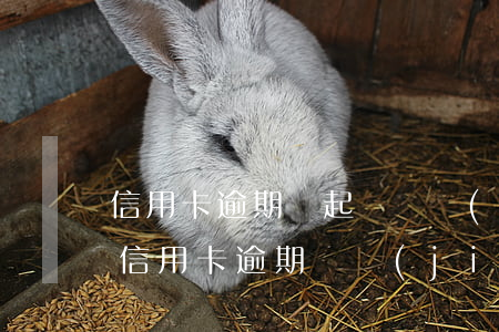 信用卡逾期沒起訴凍結(jié)銀行卡嗎(信用卡 逾期 凍結(jié))