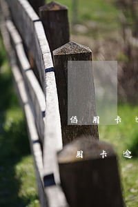 信用卡逾期沒還上失效怎么回事-現在我信用卡逾期未還