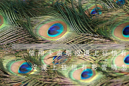 信用卡逾期沒還上征信有影響嗎 信用卡逾期沒還上征信有影響嗎怎么辦