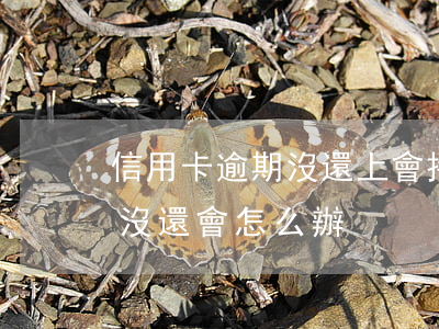 信用卡逾期沒還上會拖車(信用卡逾期后一直沒還會怎么辦)