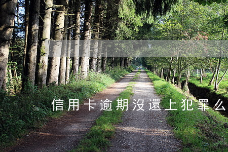 信用卡逾期沒還上犯罪么(信用卡逾期未還)