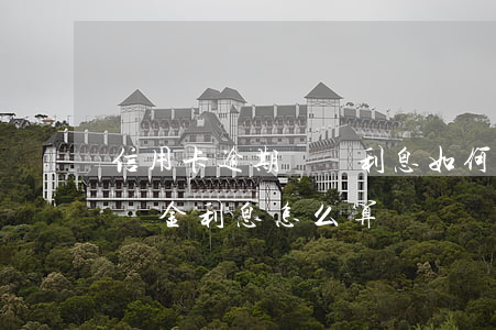 信用卡逾期沒還利息如何計算(信用卡逾期滯納金利息怎么算)