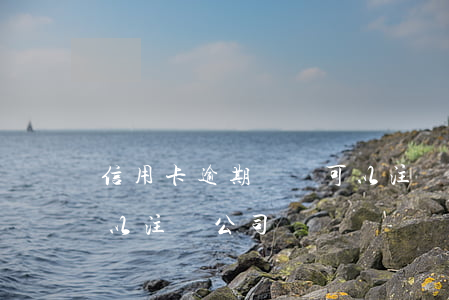 信用卡逾期沒還可以注冊公司嗎(欠信用卡可以注冊公司嗎)