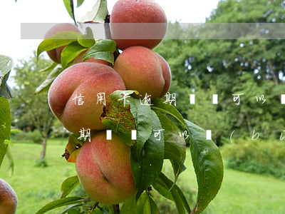 信用卡逾期沒還可以補(bǔ)卡（信用卡逾期沒還可以補(bǔ)卡）