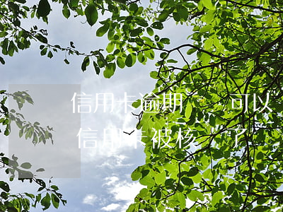 信用卡逾期沒還可以銷卡嗎(沒有逾期為什么信用卡被核銷了)
