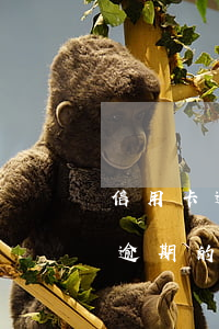 信用卡逾期沒還可以開公司嗎(有解決信用卡逾期的公司嗎)