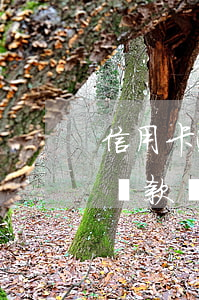 信用卡逾期沒還完有什么后果(信用卡到期沒還款會(huì)有什么后果)