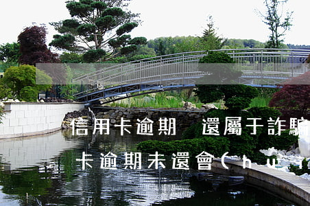 信用卡逾期沒還屬于詐騙嗎(用了十年的信用卡逾期未還會(huì)是詐騙性質(zhì)嗎)
