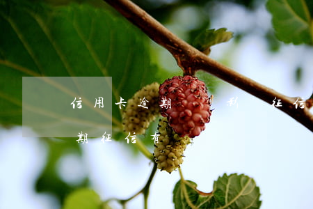信用卡逾期沒還影響征信嗎(有信用卡沒有逾期征信有問題沒)