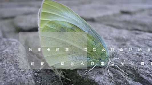 信用卡逾期沒還怎么打電話給父母-信用卡逾期沒還怎么打電話給父母呢