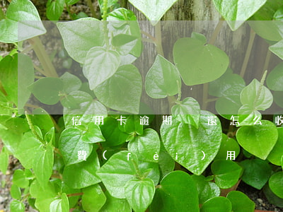 信用卡逾期沒還怎么收取率息-信用卡 逾期 費(fèi)用