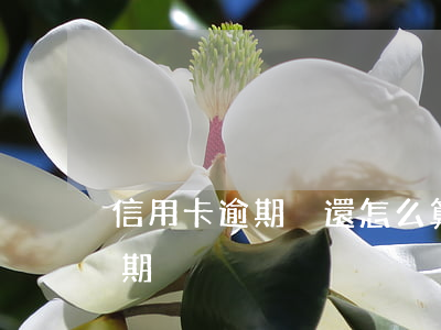 信用卡逾期沒還怎么算(信用卡1天不還算逾期)