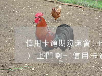 信用卡逾期沒還會(huì)不會(huì)上門啊-信用卡逾期沒還會(huì)不會(huì)上門啊