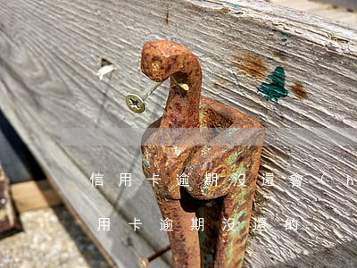 信用卡逾期沒還會(huì)失信(有沒有信用卡逾期沒還的)