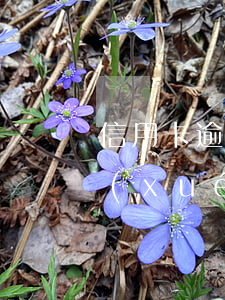 信用卡逾期沒還會(huì)影響小孩上學(xué)(欠信用卡還不上會(huì)影響小孩上學(xué)嗎)