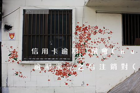 信用卡逾期沒還會(huì)注銷嗎(信用卡逾期還完之后注銷對(duì)信用有影響沒有)