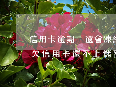 信用卡逾期沒還會凍結(jié)儲蓄卡-欠信用卡還不上儲蓄卡會被凍結(jié)嗎