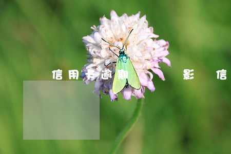 信用卡逾期沒還會影響信用