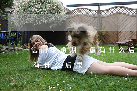 信用卡逾期沒還有什么后果(信用卡逾期沒還有什么后果)