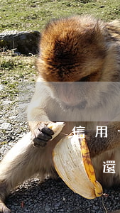信用卡逾期沒還有什么法律責任(信用卡逾期沒還有什么法律責任嘛)